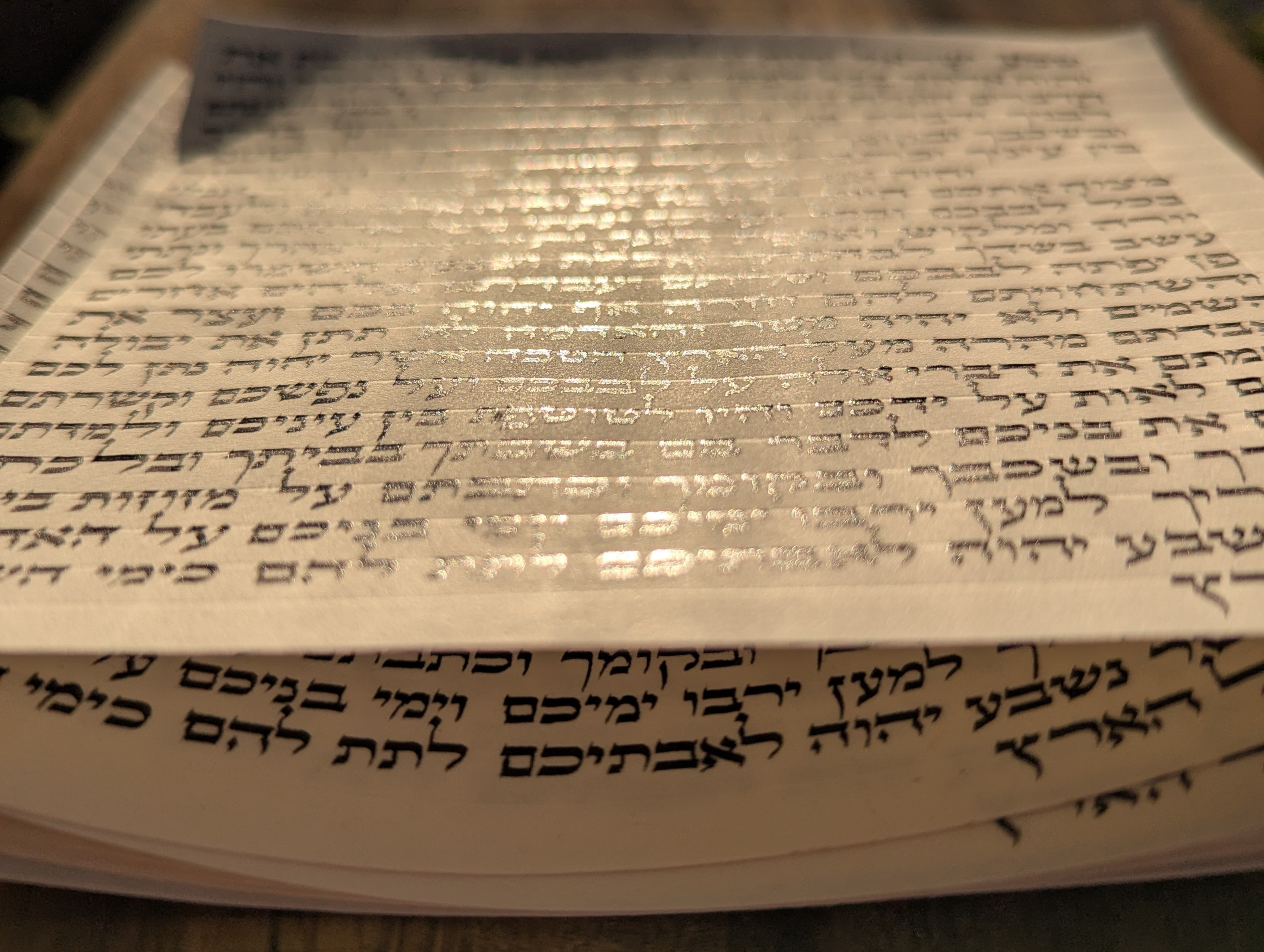 מזוזות, בתי מזוזה ובדיקת מזוזות