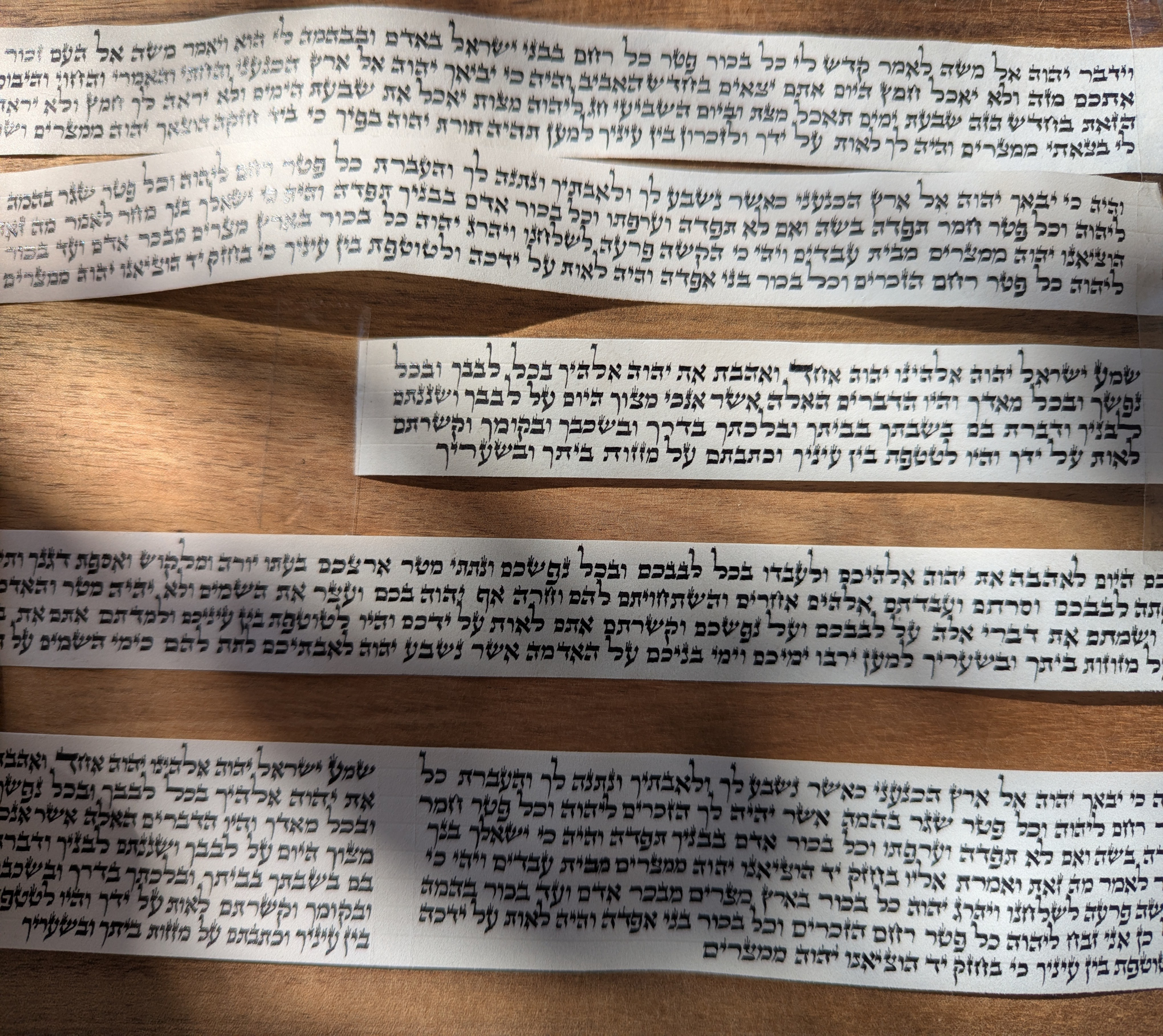 פרשיות תפילין כתב בית יוסף