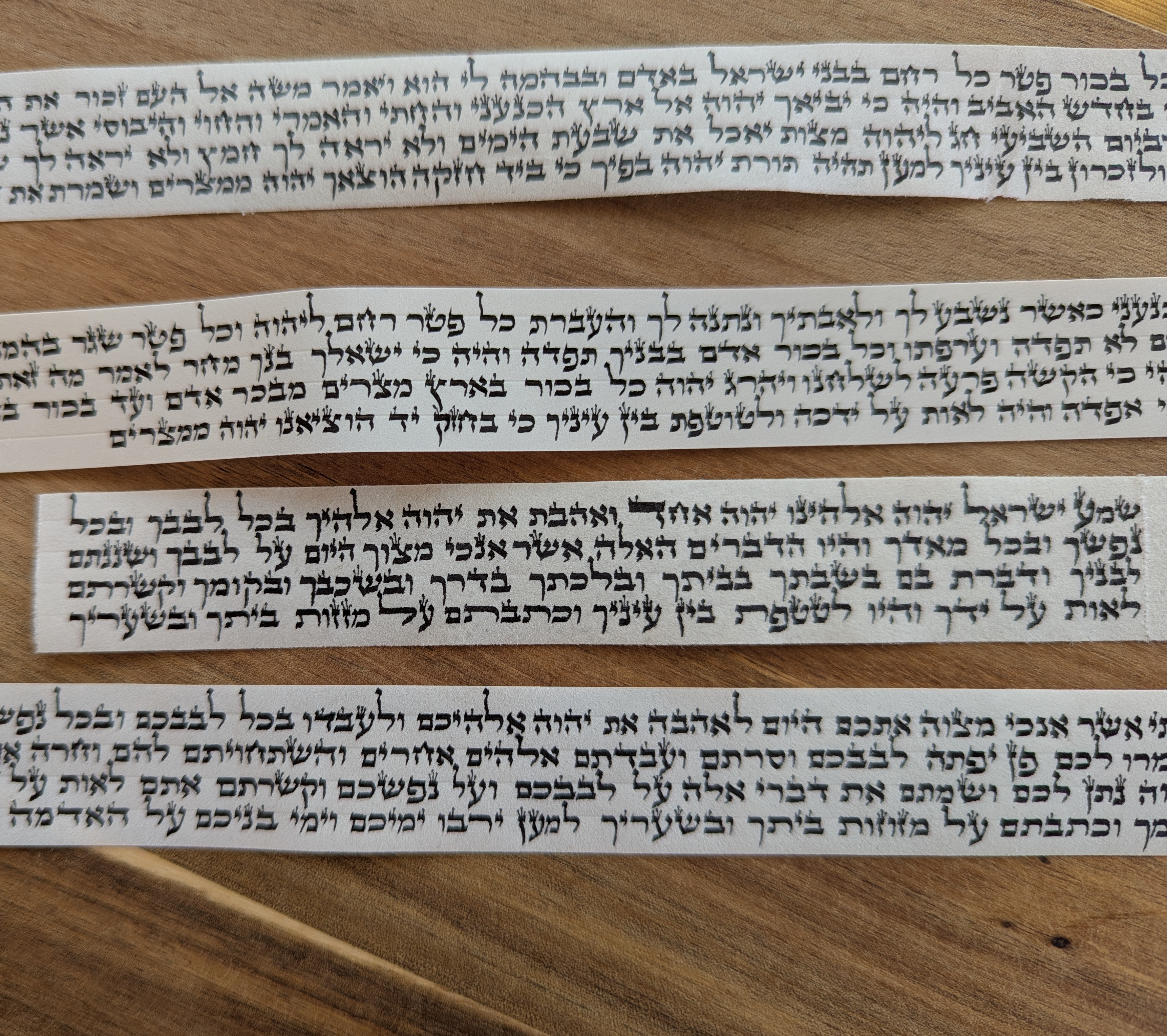 פרשיות תפילין כתב ועליש