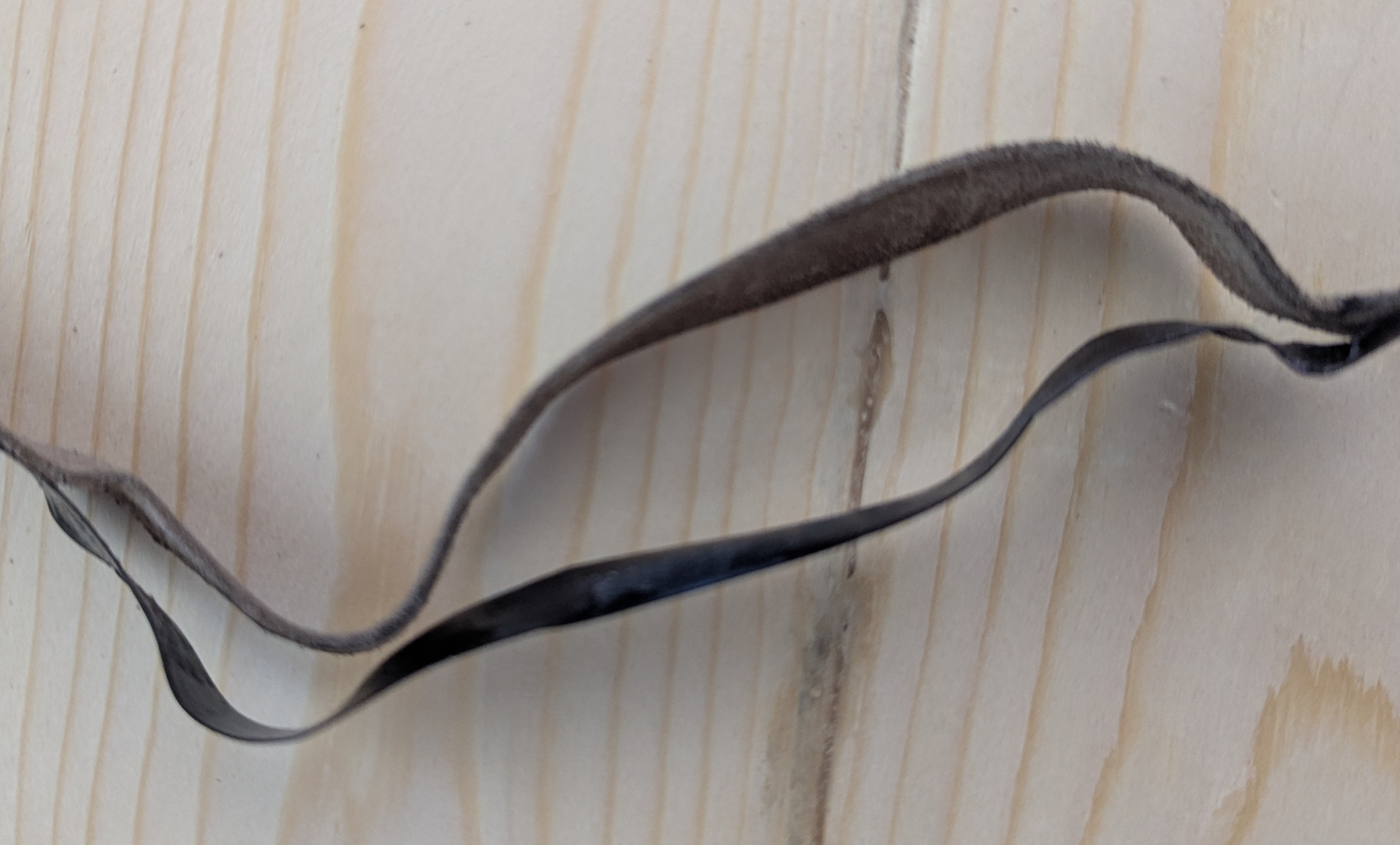 צבע שנפרד מרצועות התפילין כשכבה